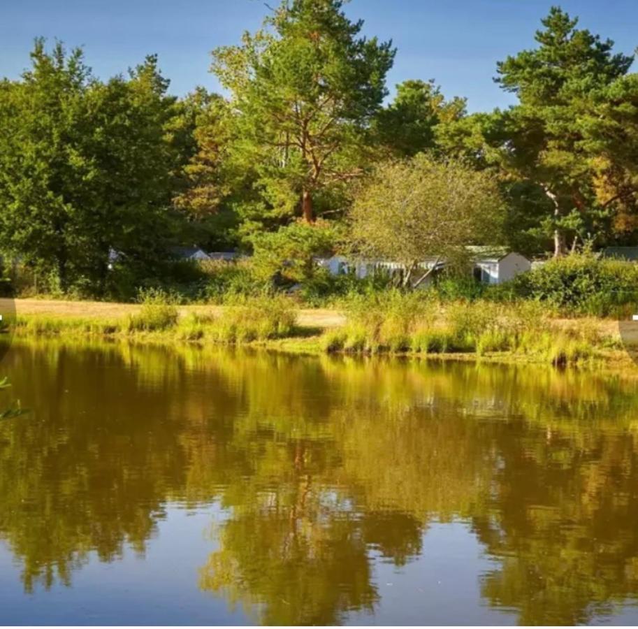 Camping Tohapi Coeur De Vendee La Boissiere-de-Montaigu Екстериор снимка